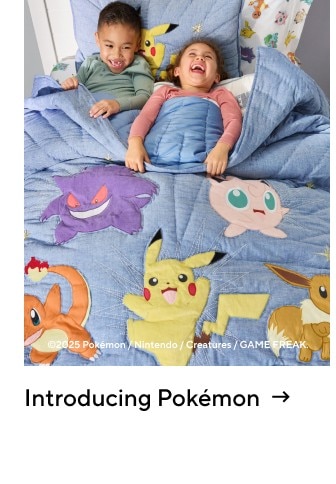 Introducing Pokémon